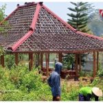 Foto istimewa dari Media Indonesia Maju