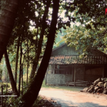 Foto ilustrasi Google